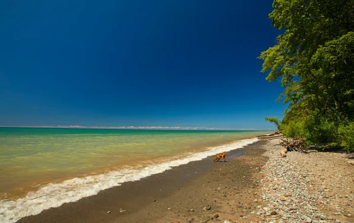 Государственный парк Fair Haven Beach с песчаными пляжами и живописными обрывами с видом на озеро Онтарио в Стерлинге, штат Нью-Йорк. (Matt Champlin/Getty Images)