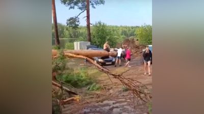 Скриншот/Baza