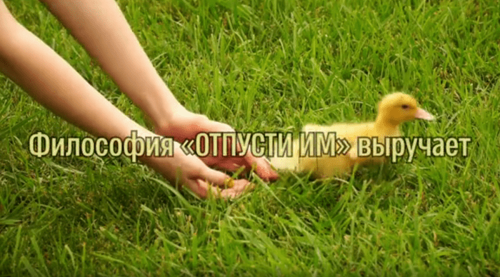 (Скриншот / ganjingworld.com)