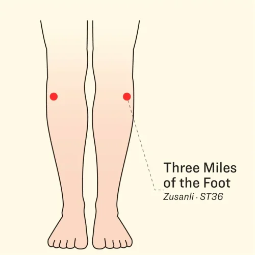 (Illustration by The Epoch Times, Shutterstock)