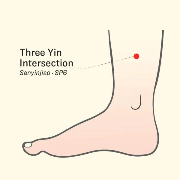 (Illustration by The Epoch Times, Shutterstock)