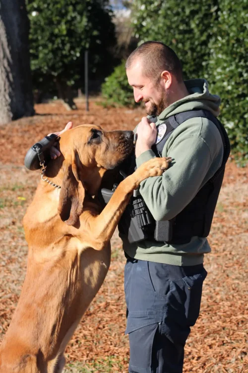 Бо живёт с Роуландом и его семьёй. (Courtesy of Gastonia Police Department)