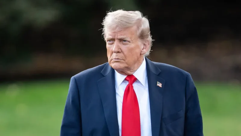 Президент США Дональд Трамп. Madalina Kilroy/The Epoch Times)