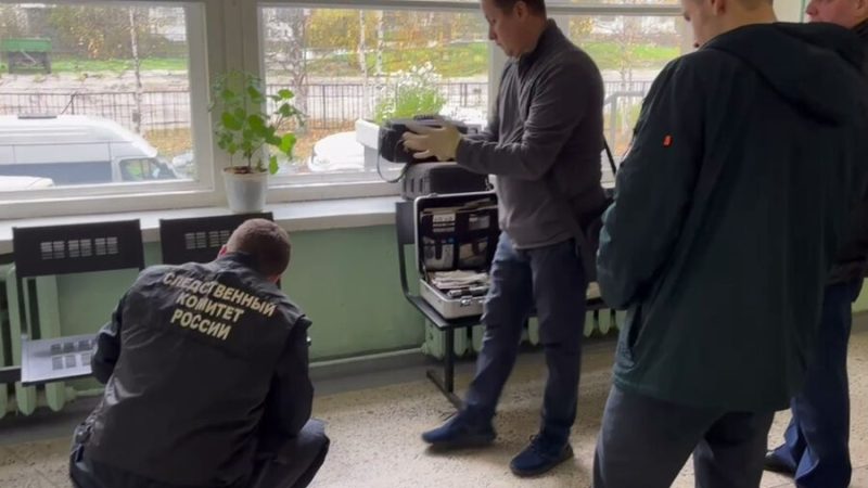 Скриншот/ СУ СК РФ по Архангельской области и Ненецкому автономному округу