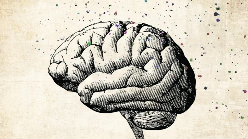 (Illustration by The Epoch Times, Shutterstock)
