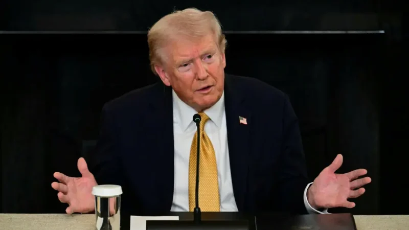 Дональд Трамп выступает на круглом столе правоохранительных органов в Государственном обеденном зале Белого дома в Вашингтоне 23 октября 2025 года. (Jim Watson/AFP via Getty Images)