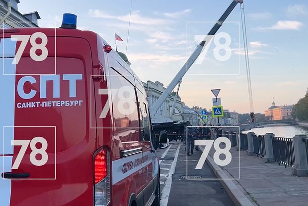 (Скриншот/t.me/good78news)