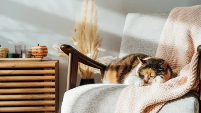 Бюджетные способы сделать ваш дом уютнее