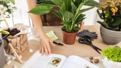 Вот несколько книг, которые понравятся любому садоводу. (ganjalex/Shutterstock)