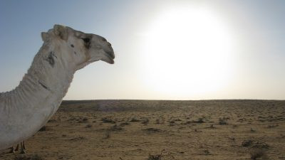 Саудовская Аравия. Пустыня. (pxhere.com/ССО)