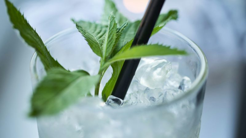 Почему мята делает воду холодной на вкус? Объяснение учёного Стакан с ледяной крошкой, трубочкой и свежими листьями мяты для создания охлаждающего эффекта