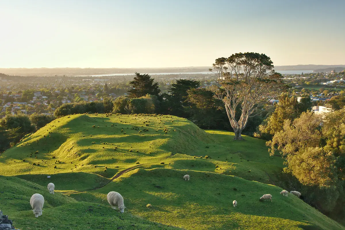 One Tree Hill Park