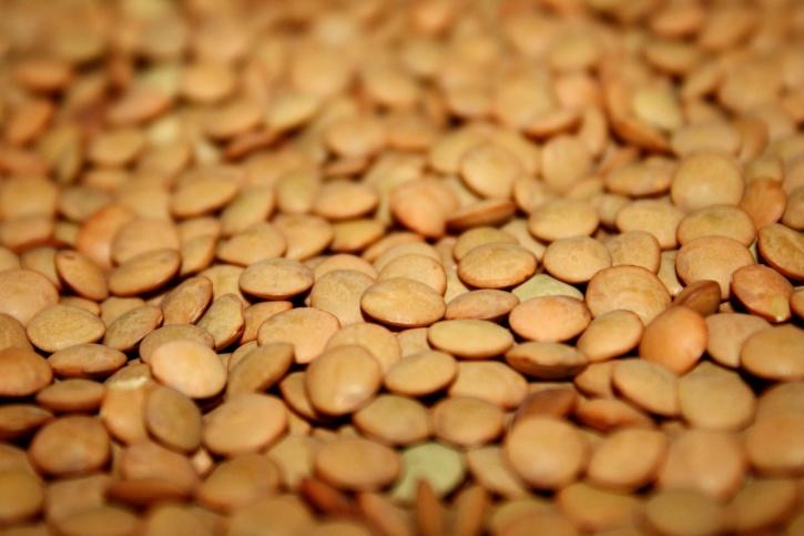 Сушеная коричневая чечевица крупным планом