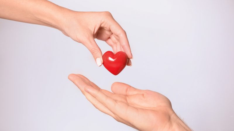 Одна рука передает красное сердце в другую ладонь