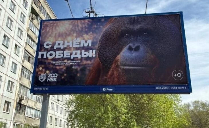 Прокуратура и Роскомнадзор проверят скандальный баннер с орангутаном в Новосибирске Фотография рекламного щита с изображением орангутана и надписью «С Днем Победы!»