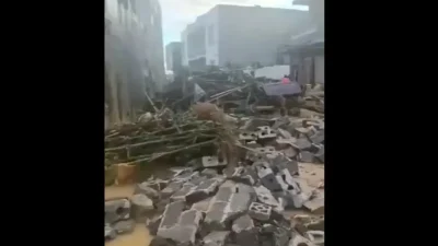 После наводнения на юге Китая люди питались дождевой водой и листьями деревьев