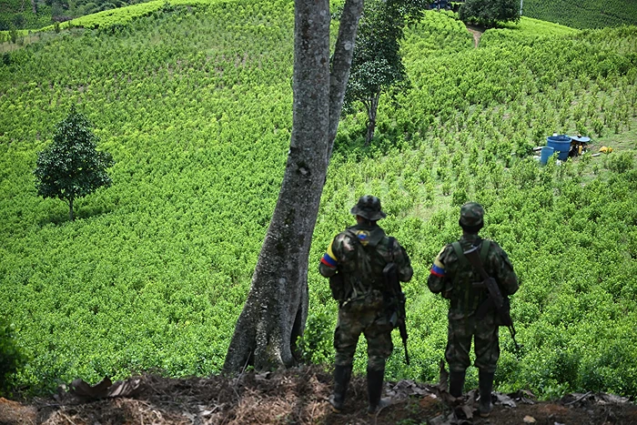 Члены партизанской организации FARC-EP патрулируют территорию возле кокаинового поля на юго-западе Колумбии, июнь 2022 года.