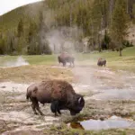 Как вернуть водное богатство Земли